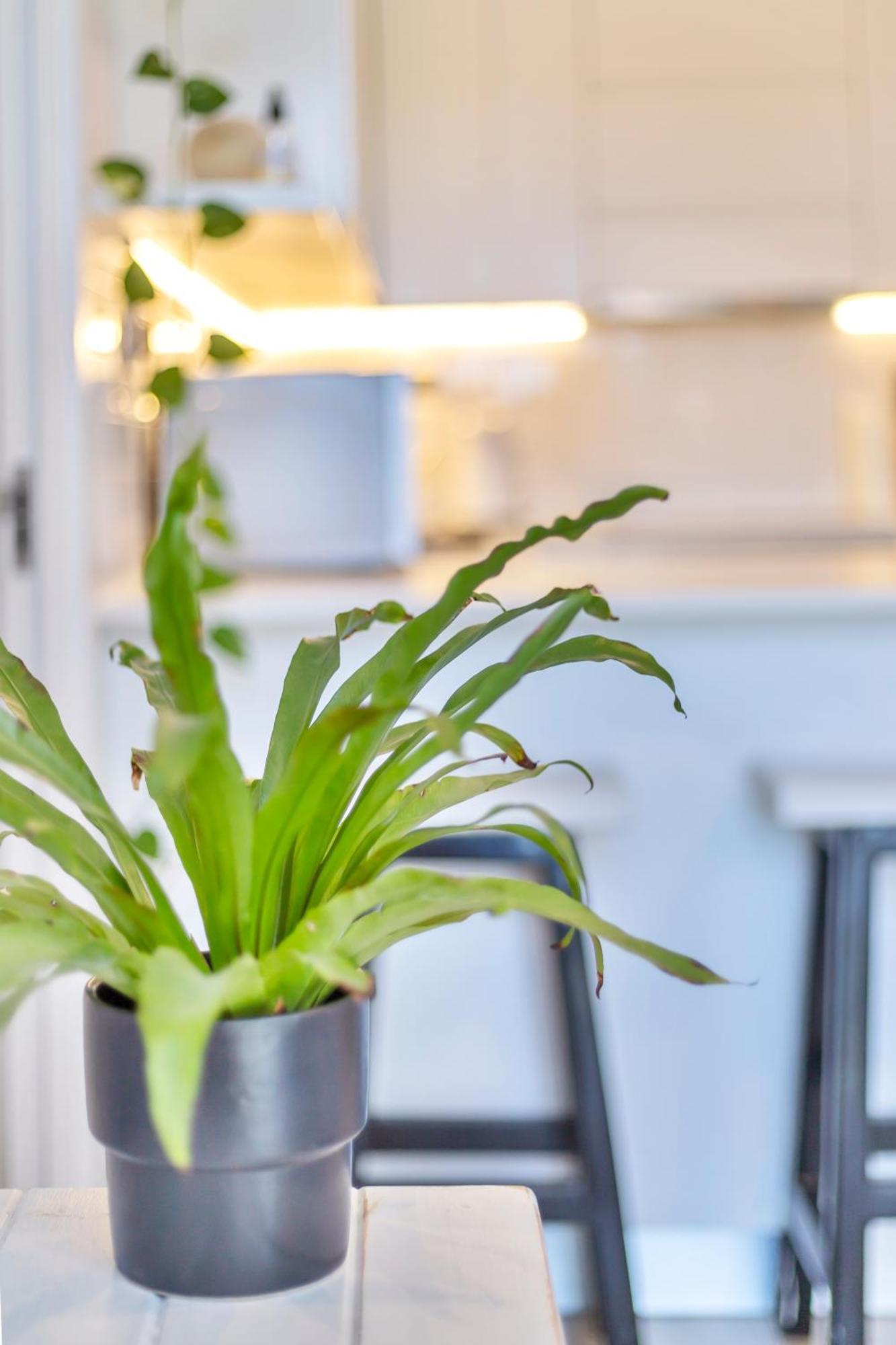 Appartement Urban Chic Le Cap